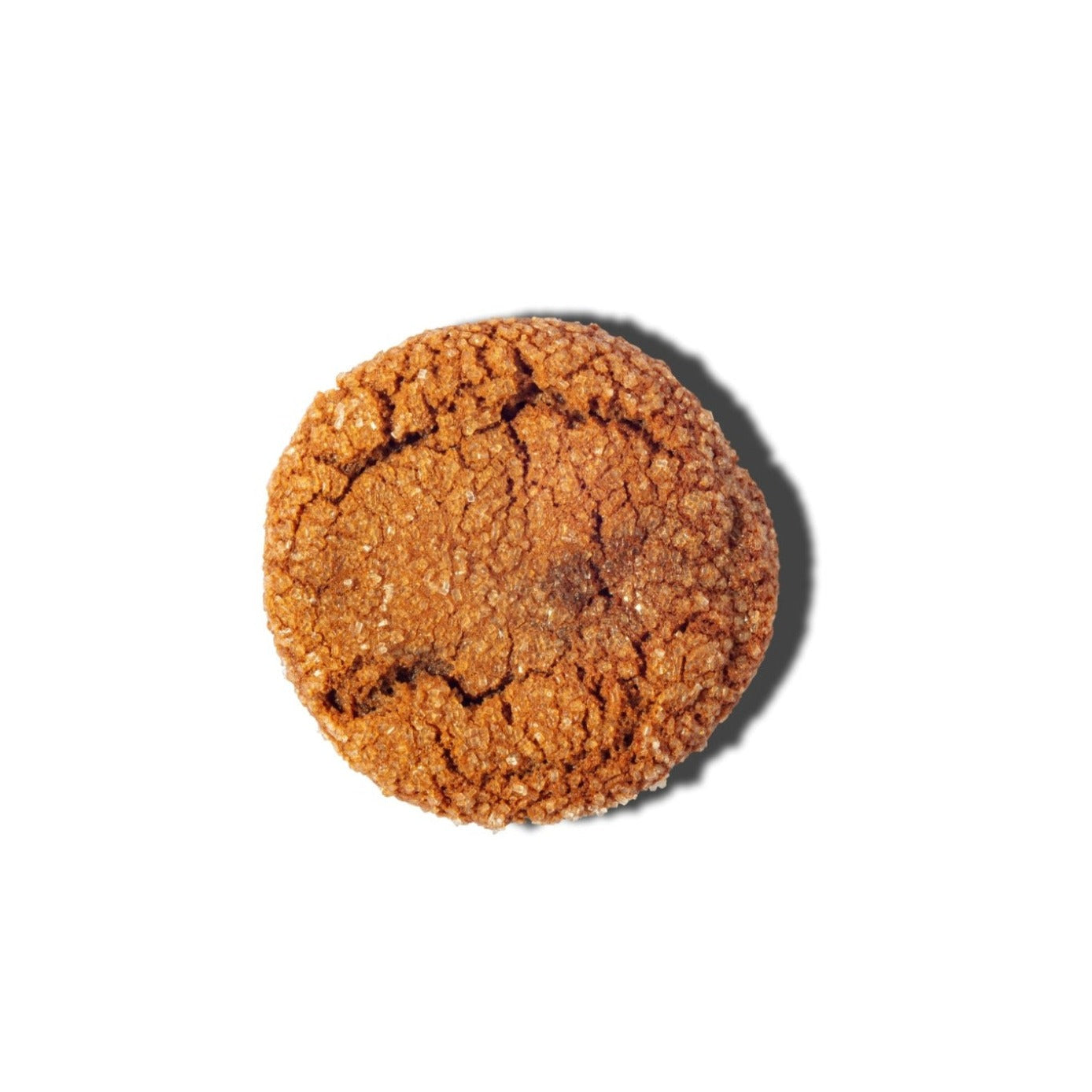 Ginger Spice Cookie (includes 3)